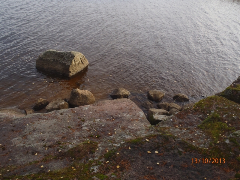 Парк Монрепо - моё отдохновение. Записки сумасшедшего туриста.