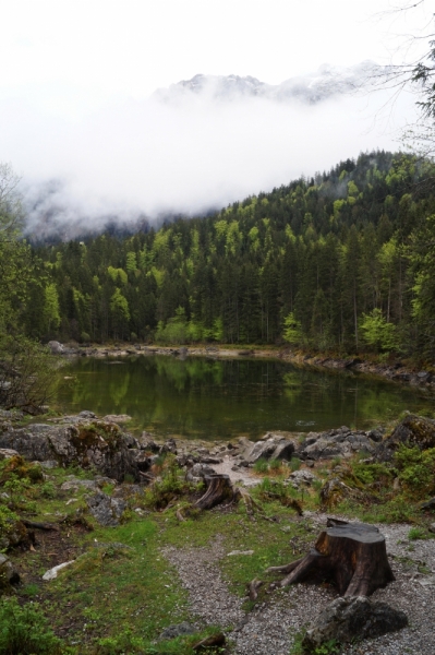 Нидерланды (Keukenhof, Rotterdam, Amsterdam, Delft, Den Haag и еще) + Бавария май 2015