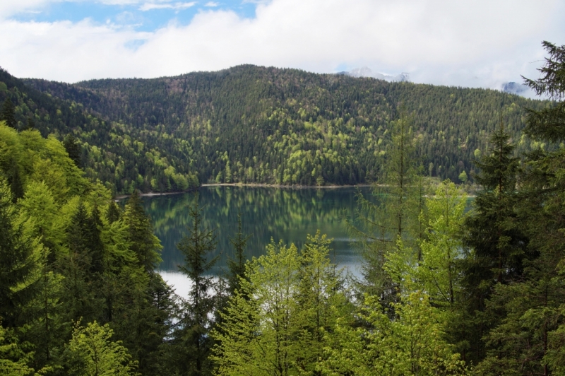 Нидерланды (Keukenhof, Rotterdam, Amsterdam, Delft, Den Haag и еще) + Бавария май 2015