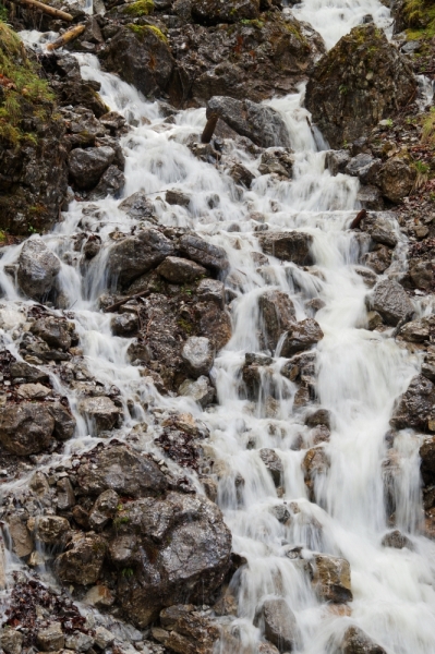 Нидерланды (Keukenhof, Rotterdam, Amsterdam, Delft, Den Haag и еще) + Бавария май 2015