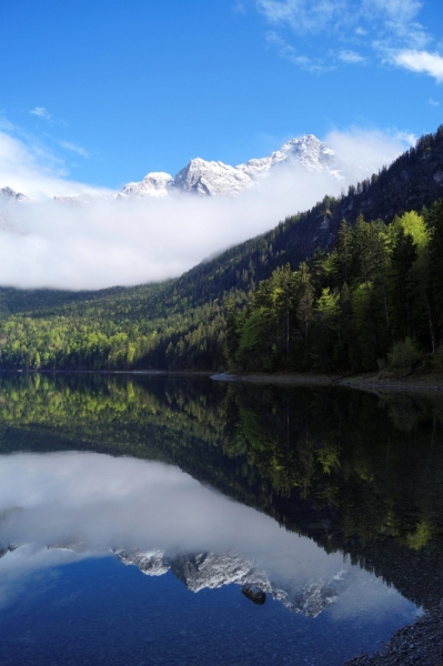 Нидерланды (Keukenhof, Rotterdam, Amsterdam, Delft, Den Haag и еще) + Бавария май 2015