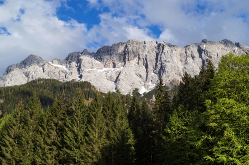 Нидерланды (Keukenhof, Rotterdam, Amsterdam, Delft, Den Haag и еще) + Бавария май 2015