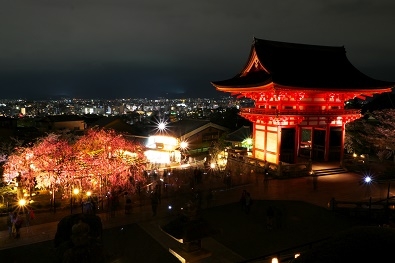 Япония в океане сакуры 2015: Tokyo-Kamakura-Osaka-Himeji-Kyoto-Yoshino-Hikone-гора Fuji