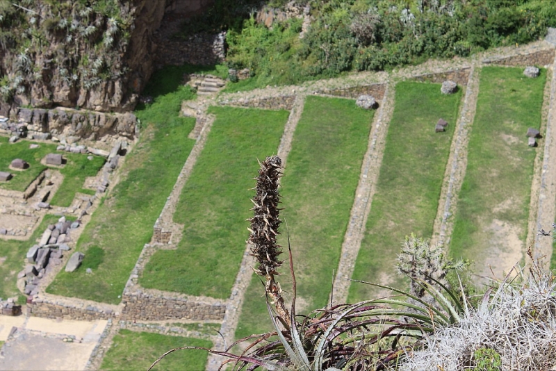 Мачу Пикчу и Каньон Колка. Видео + Фото