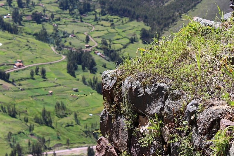 Мачу Пикчу и Каньон Колка. Видео + Фото
