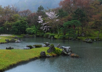 Япония в океане сакуры 2015: Tokyo-Kamakura-Osaka-Himeji-Kyoto-Yoshino-Hikone-гора Fuji