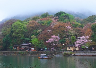 Япония в океане сакуры 2015: Tokyo-Kamakura-Osaka-Himeji-Kyoto-Yoshino-Hikone-гора Fuji