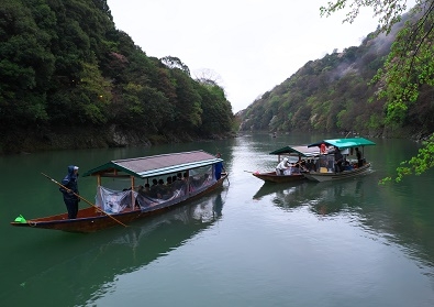 Япония в океане сакуры 2015: Tokyo-Kamakura-Osaka-Himeji-Kyoto-Yoshino-Hikone-гора Fuji