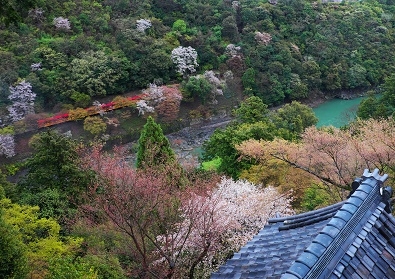 Япония в океане сакуры 2015: Tokyo-Kamakura-Osaka-Himeji-Kyoto-Yoshino-Hikone-гора Fuji