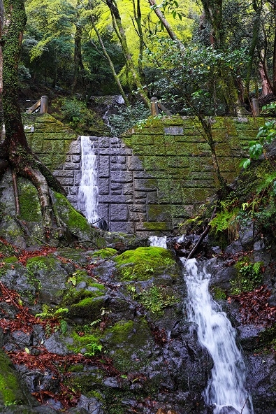 Япония в океане сакуры 2015: Tokyo-Kamakura-Osaka-Himeji-Kyoto-Yoshino-Hikone-гора Fuji