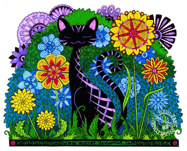 Поговорим о кошках35