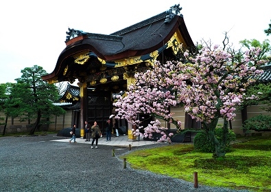 Япония в океане сакуры 2015: Tokyo-Kamakura-Osaka-Himeji-Kyoto-Yoshino-Hikone-гора Fuji