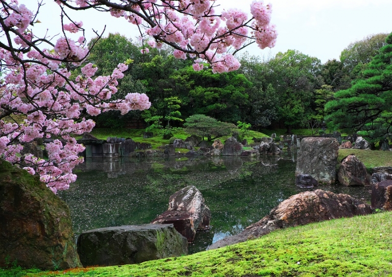 Япония в океане сакуры 2015: Tokyo-Kamakura-Osaka-Himeji-Kyoto-Yoshino-Hikone-гора Fuji