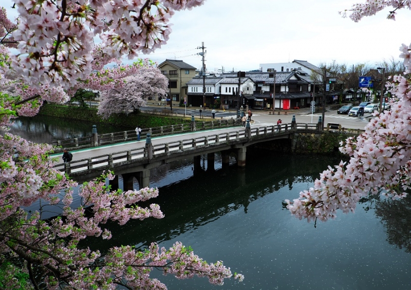 Япония в океане сакуры 2015: Tokyo-Kamakura-Osaka-Himeji-Kyoto-Yoshino-Hikone-гора Fuji