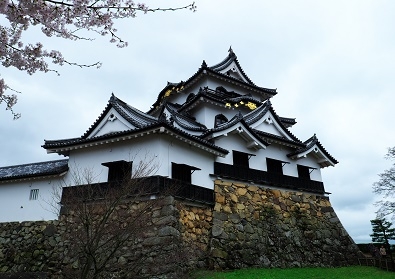 Япония в океане сакуры 2015: Tokyo-Kamakura-Osaka-Himeji-Kyoto-Yoshino-Hikone-гора Fuji