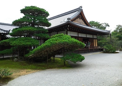 Япония в океане сакуры 2015: Tokyo-Kamakura-Osaka-Himeji-Kyoto-Yoshino-Hikone-гора Fuji