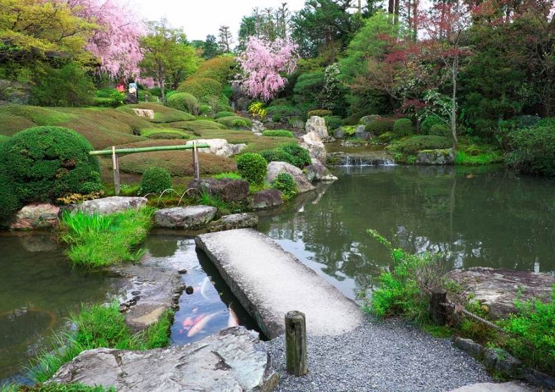 Япония в океане сакуры 2015: Tokyo-Kamakura-Osaka-Himeji-Kyoto-Yoshino-Hikone-гора Fuji