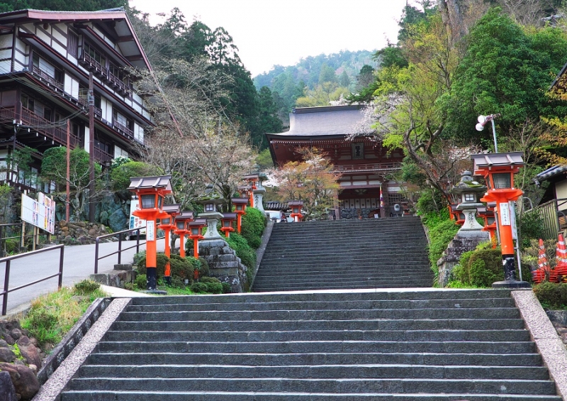 Япония в океане сакуры 2015: Tokyo-Kamakura-Osaka-Himeji-Kyoto-Yoshino-Hikone-гора Fuji