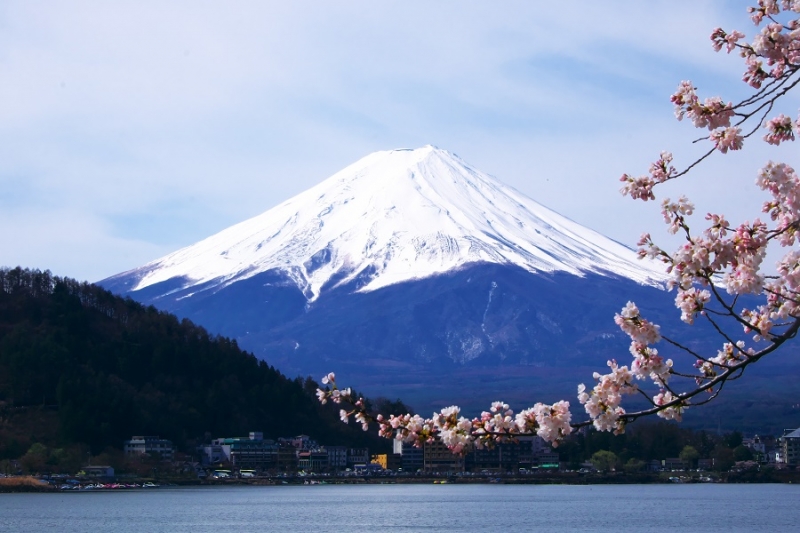 Япония в океане сакуры 2015: Tokyo-Kamakura-Osaka-Himeji-Kyoto-Yoshino-Hikone-гора Fuji