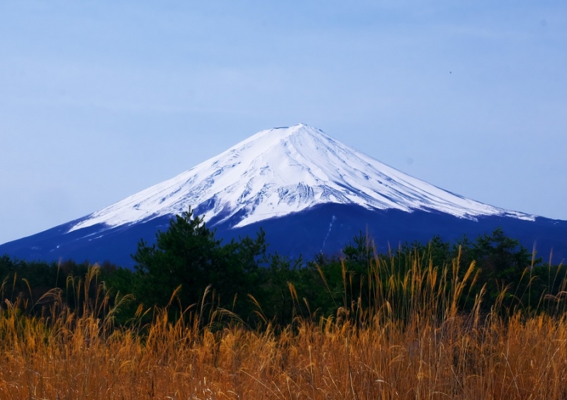 Япония в океане сакуры 2015: Tokyo-Kamakura-Osaka-Himeji-Kyoto-Yoshino-Hikone-гора Fuji