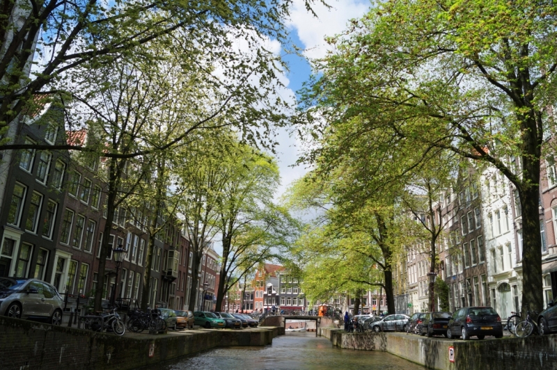 Нидерланды (Keukenhof, Rotterdam, Amsterdam, Delft, Den Haag и еще) + Бавария май 2015