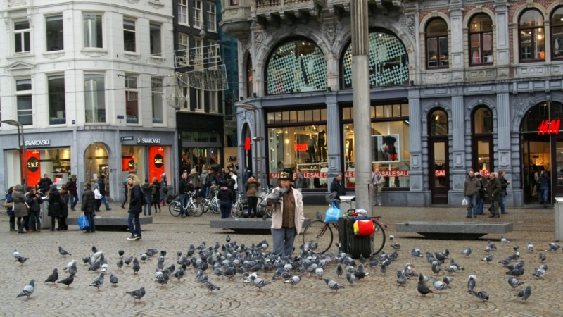 Нидерланды (Keukenhof, Rotterdam, Amsterdam, Delft, Den Haag и еще) + Бавария май 2015