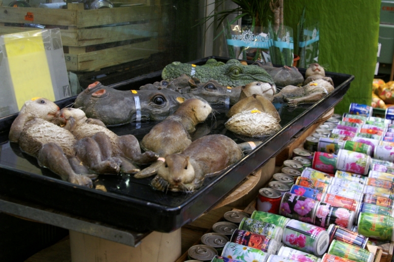 Нидерланды (Keukenhof, Rotterdam, Amsterdam, Delft, Den Haag и еще) + Бавария май 2015