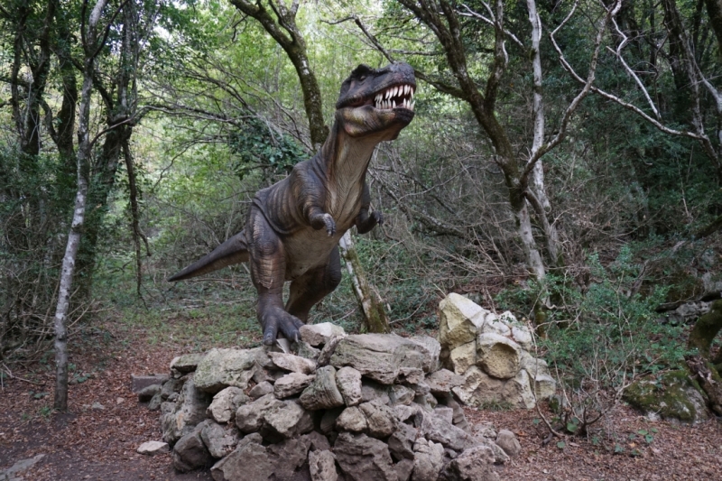 Грузия – страна, куда хочется вернуться. Сентябрь 2015.