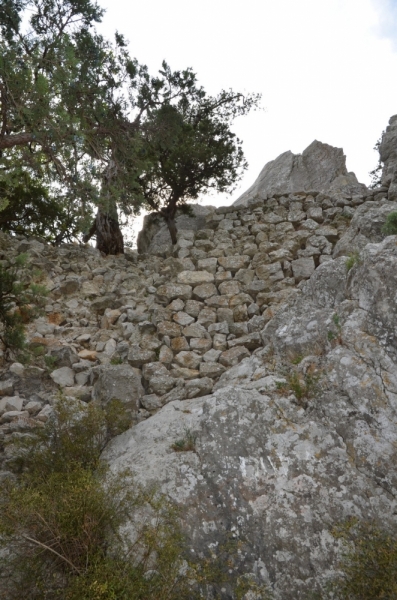 Давно считаю себя взрослой, а в Крыму никогда не бывала. Симеиз.