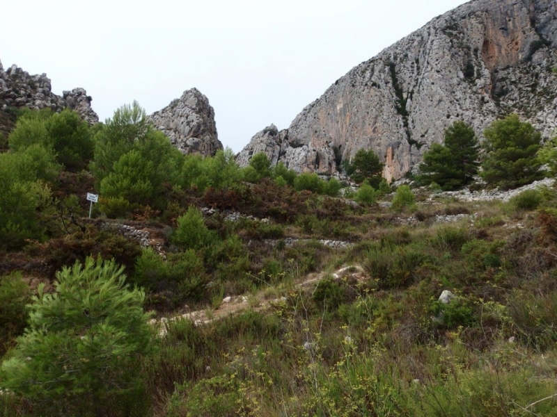 Навигатор для поездки в Европу