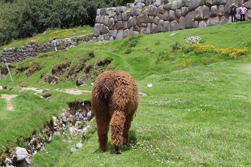 Мачу Пикчу и Каньон Колка. Видео + Фото