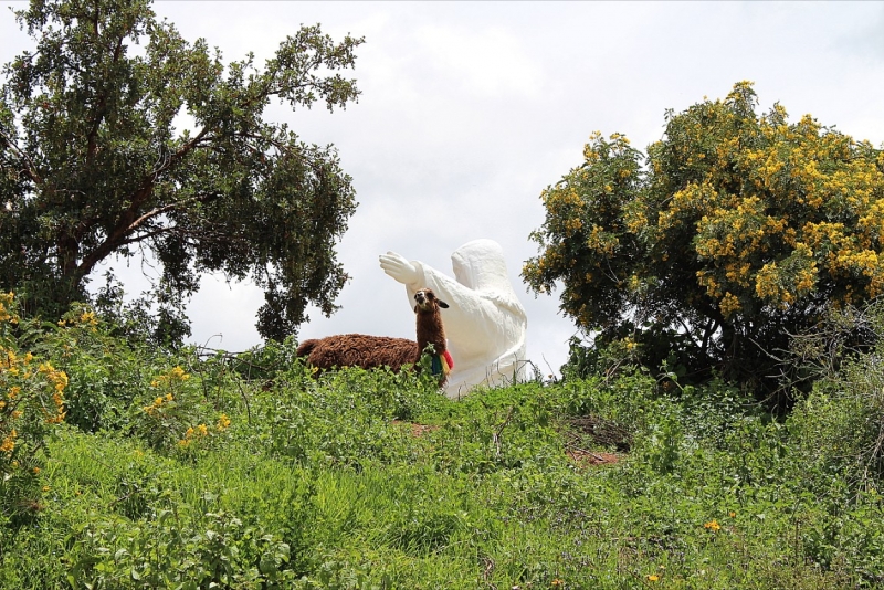 Мачу Пикчу и Каньон Колка. Видео + Фото