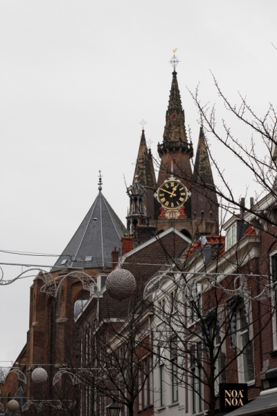 Нидерланды (Keukenhof, Rotterdam, Amsterdam, Delft, Den Haag и еще) + Бавария май 2015