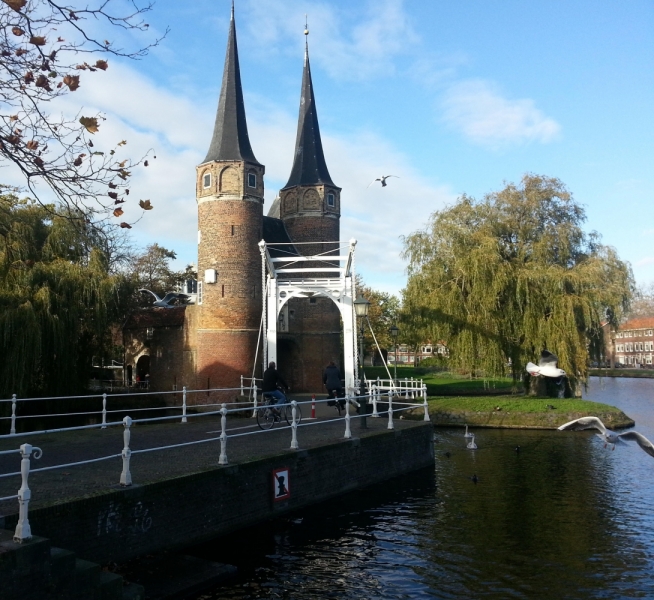 Нидерланды (Keukenhof, Rotterdam, Amsterdam, Delft, Den Haag и еще) + Бавария май 2015