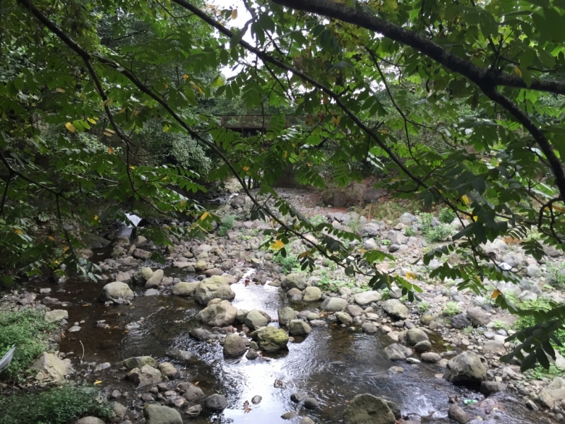 Ознакомительная поездка по Грузии с маршрутом в сентябре 2015