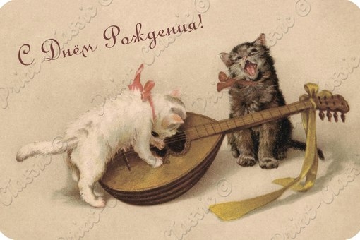 Поговорим о кошках35