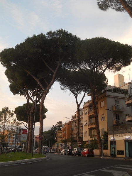 La mia vita. Римские записки, дневник онлайн