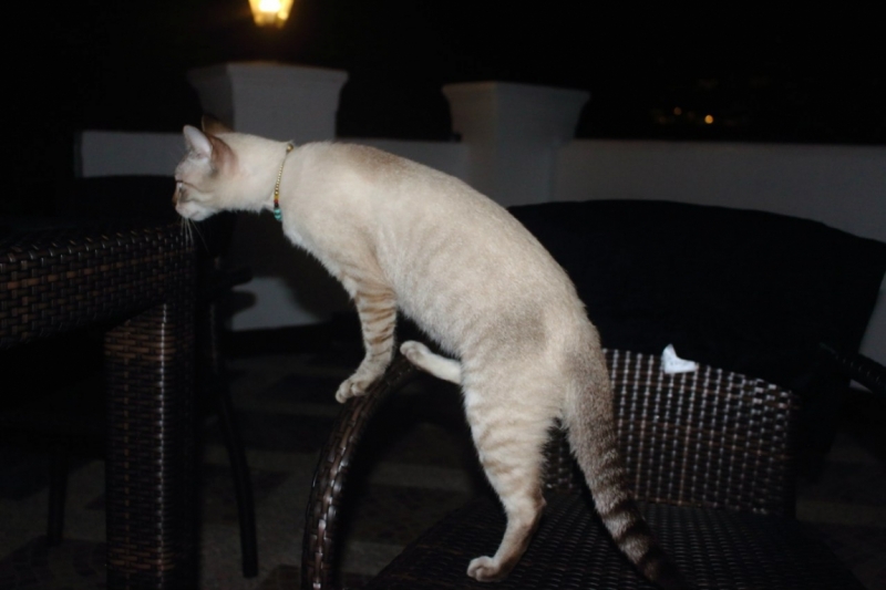 Из весны в Азиатское лето: Боракай, Гонконг, Гуанчжоу.