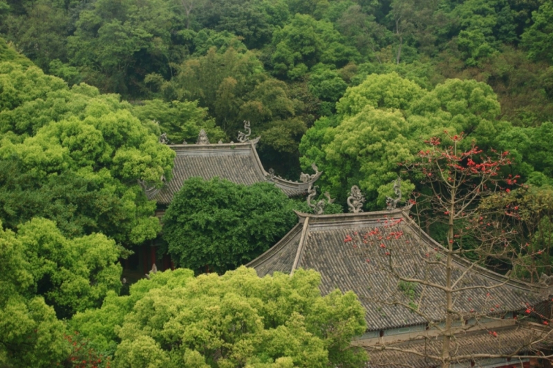 Из весны в Азиатское лето: Боракай, Гонконг, Гуанчжоу.