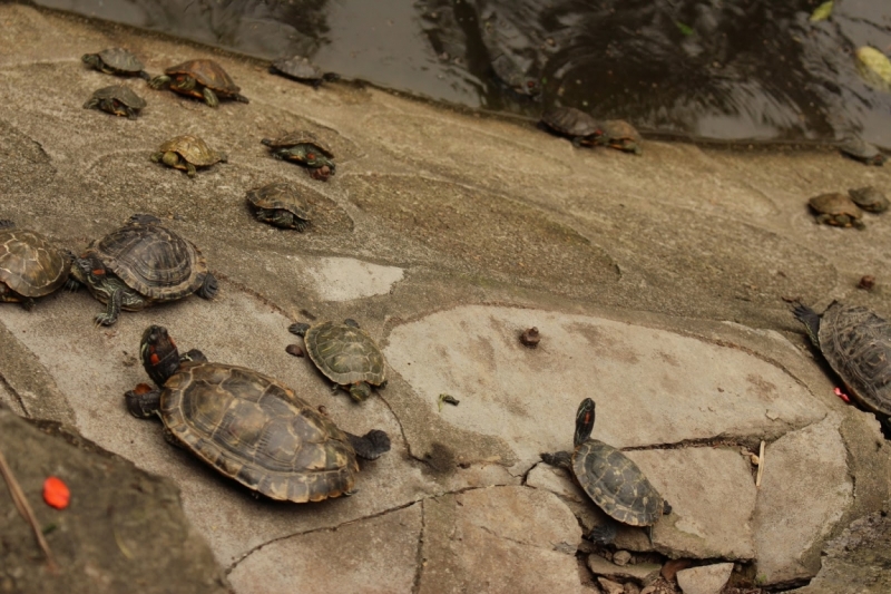 Из весны в Азиатское лето: Боракай, Гонконг, Гуанчжоу.
