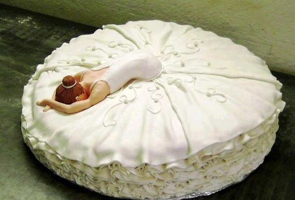 Поговорим о кошках35