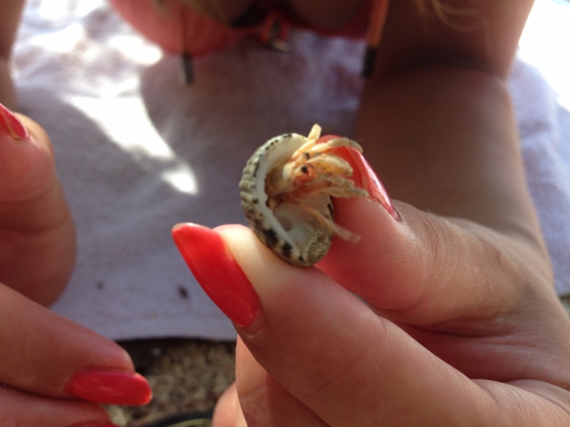 Шри-Ланка: как я открыл для себя Азию