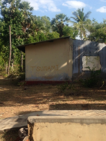 Шри-Ланка: как я открыл для себя Азию