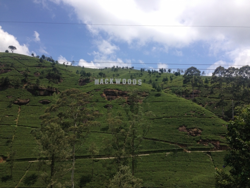 Шри-Ланка: как я открыл для себя Азию