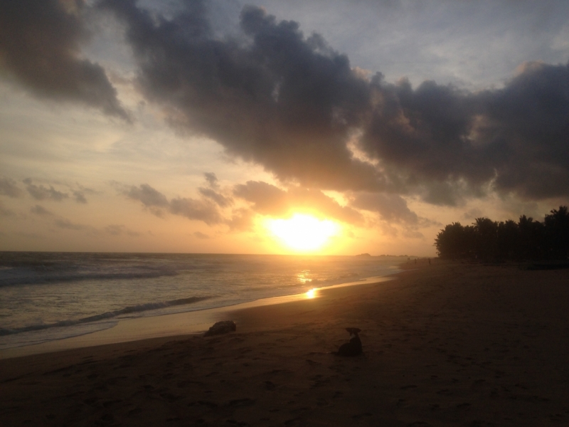 Шри-Ланка: как я открыл для себя Азию