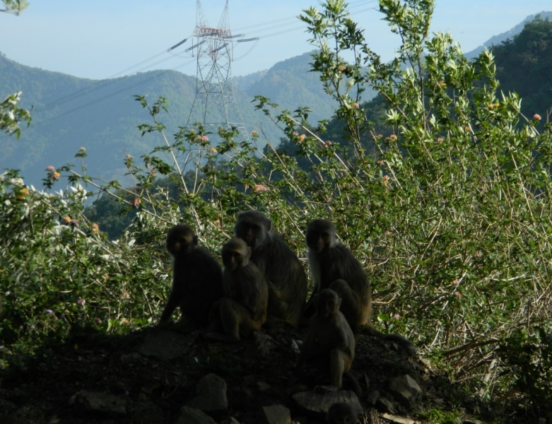 Индия 2015 (на конкурс 2 билета в Дубай