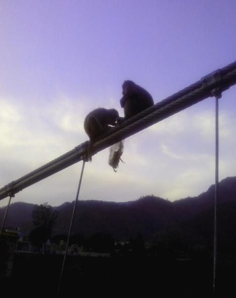 Индия 2015 (на конкурс 2 билета в Дубай