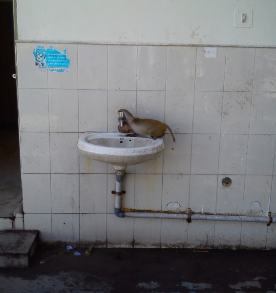 Индия 2015 (на конкурс 2 билета в Дубай