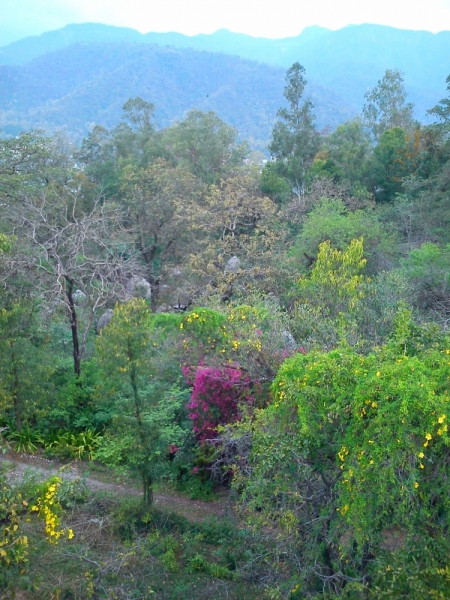 Индия 2015 (на конкурс 2 билета в Дубай