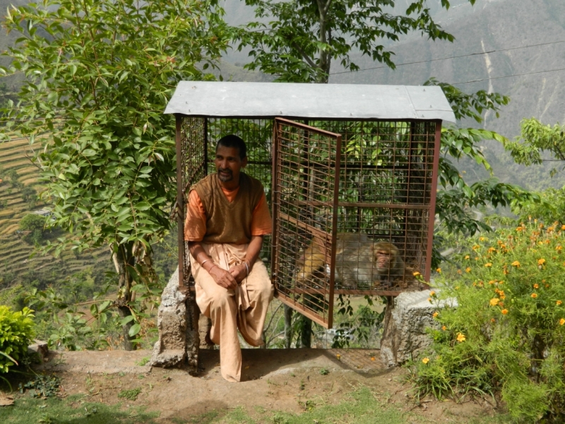 Индия 2015 (на конкурс 2 билета в Дубай